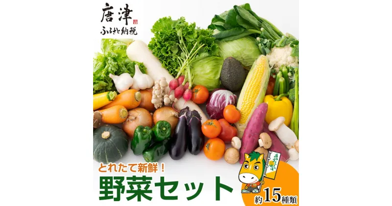 【ふるさと納税】野菜セット 新鮮とれたて旬の野菜 季節の野菜 詰合せ サラダ「2024年 令和6年」