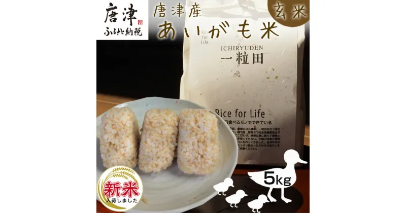 【ふるさと納税】【令和6年産新米】唐津産 あいがも米 5kg (玄米) 一粒田 合鴨農法 無農薬 無化学肥料 コメ お米 ごはん