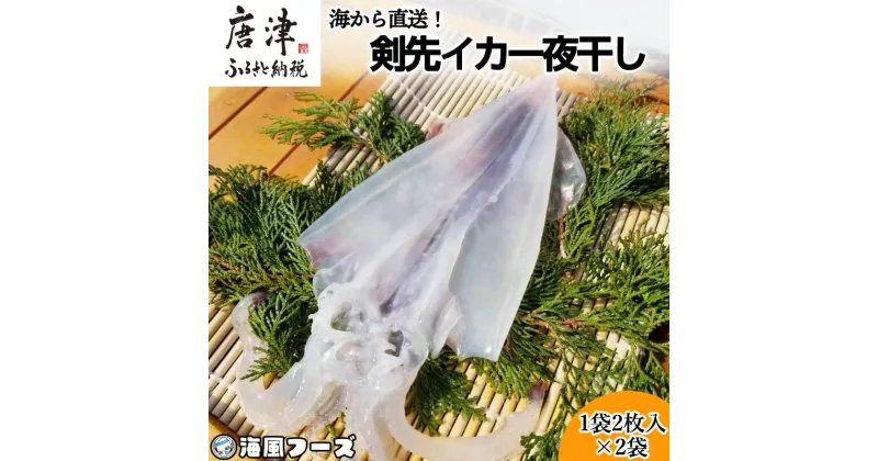 【ふるさと納税】海から直送！剣先イカ一夜干し いか おつまみ 干物 酒の肴「2024年 令和6年」