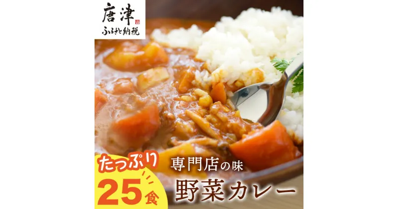 【ふるさと納税】カレー専門店Sabziオリジナル野菜カレー 180g×25食(合計4.5kg) レトルト 簡単調理 長期保存 朝カレー ランチ「2024年 令和6年」