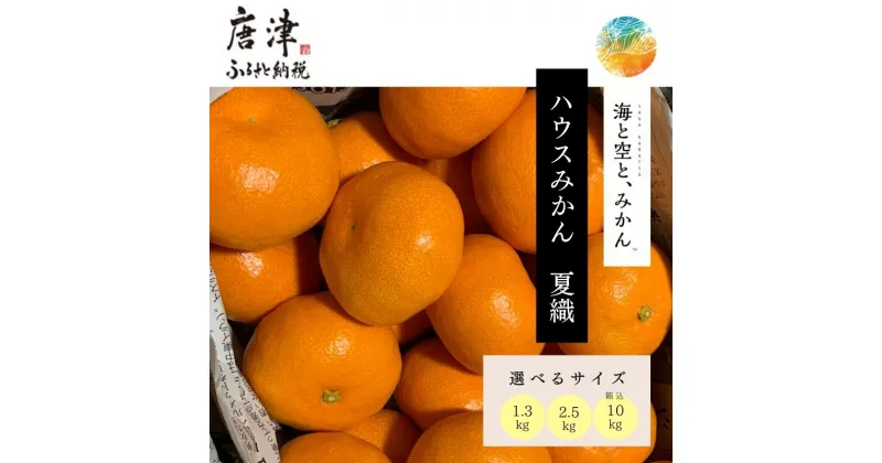 【ふるさと納税】『先行予約』【令和7年6月上旬発送】夏の極上ハウスみかん「夏織」1.3kg～箱込10kg「容量を選べる！」～海と空と、みかん～ 甘くてとろける夏の果物に ミカン フルーツ 柑橘