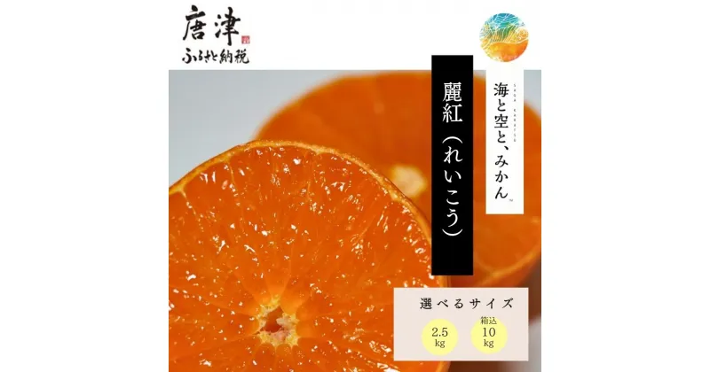 【ふるさと納税】『先行予約』【令和7年2月上旬発送】唐津産ハウス育ち「麗紅」2.5kg/箱込10kg「容量を選べる！」〜海と空と、みかん〜 ミカン フルーツ 柑橘 ギフト (クラウドファンディング対象)