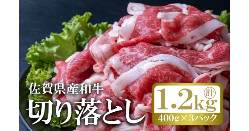 【ふるさと納税】和牛 切り落とし 計約1.2kg (400g×3p) 佐賀県産 牛肉 肉 ※配送不可:離島　鳥栖市