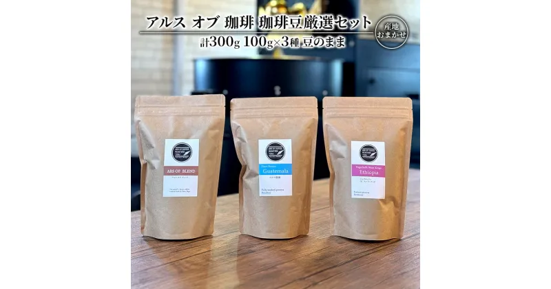 【ふるさと納税】珈琲豆 厳選 セット 100g×3種 豆のまま コーヒー 珈琲　鳥栖市