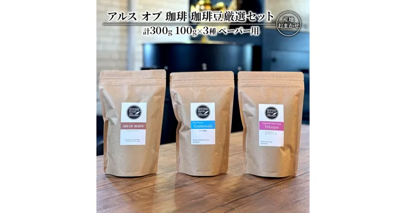 【ふるさと納税】珈琲豆 厳選 セット 100g×3種 ペーパー用 コーヒー 珈琲　鳥栖市