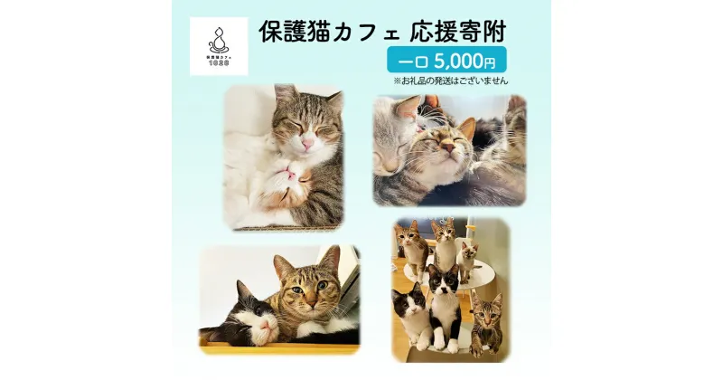 【ふるさと納税】保護猫カフェへの寄附 【お礼品の発送はございません】一口5,000円　鳥栖市