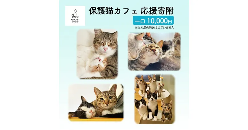 【ふるさと納税】保護猫カフェへの寄附 【お礼品の発送はございません】一口10,000円　鳥栖市