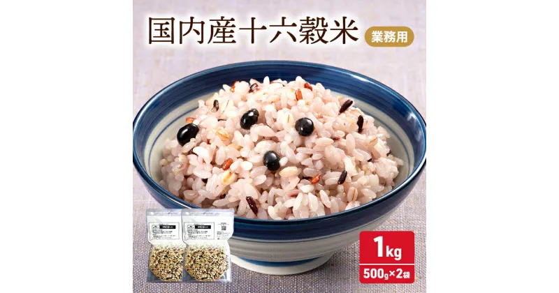 【ふるさと納税】雑穀 国内産 十六穀 米 業務用 合計1,000g (500g×2袋) 食物繊維　鳥栖市