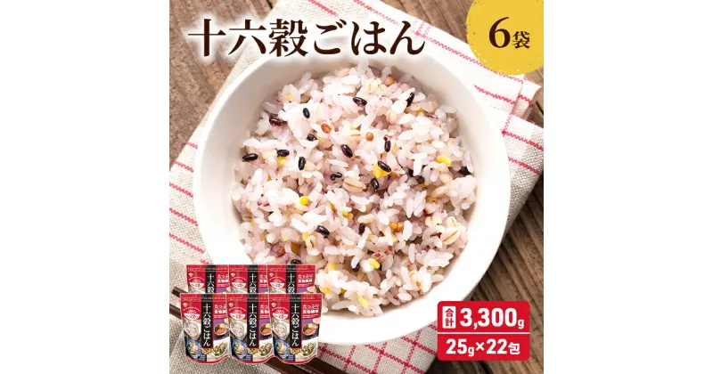 【ふるさと納税】雑穀 十六穀 ごはん 合計3,300g (25g×22包×6袋) 食物繊維　鳥栖市