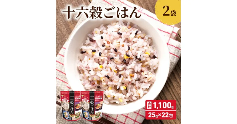 【ふるさと納税】雑穀 十六穀 ごはん 合計1,100g (25g×22包×2袋) 食物繊維　鳥栖市