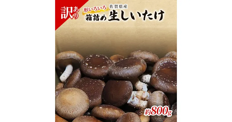 【ふるさと納税】訳あり しいたけ 佐賀県産 箱生しいたけ 約800g 訳アリ 椎茸 きのこ　鳥栖市