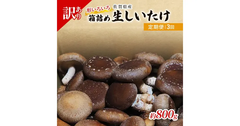 【ふるさと納税】定期便 3ヶ月 訳あり しいたけ 佐賀県産 箱生しいたけ 約800g 訳アリ 椎茸 きのこ 3回 お楽しみ　定期便・鳥栖市