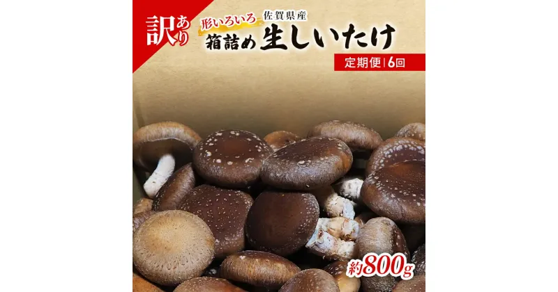 【ふるさと納税】定期便 6ヶ月 訳あり しいたけ 佐賀県産 箱生しいたけ 約800g 訳アリ 椎茸 きのこ 6回 お楽しみ　定期便・鳥栖市