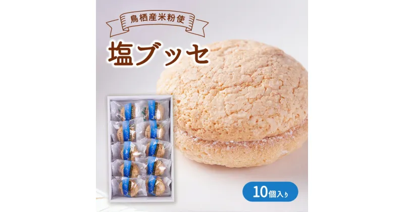 【ふるさと納税】お菓子 鳥栖米 塩ブッセ 10個入り 菓子 ※配送不可：北海道、沖縄、離島