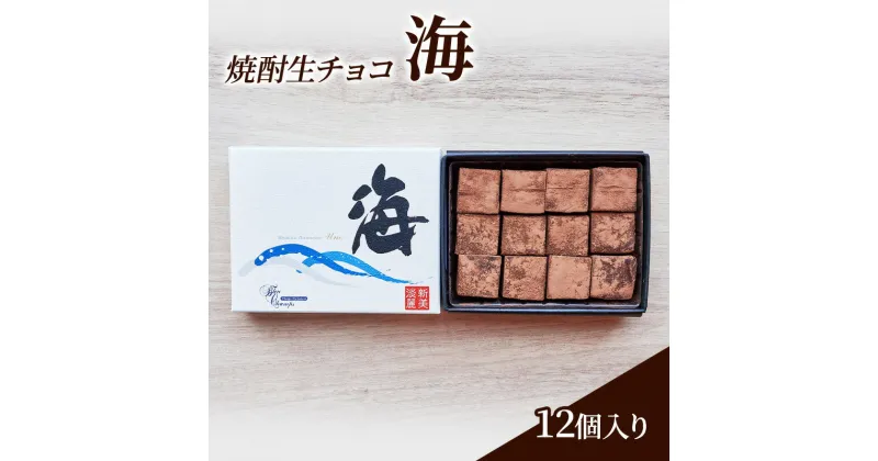 【ふるさと納税】チョコレート 焼酎 生チョコ 「海」12個入り チョコ ※配送不可：北海道、沖縄、離島