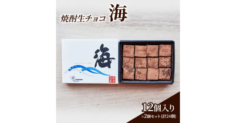 【ふるさと納税】チョコレート 焼酎 生チョコ 「海」12個入り×2個 セット (合計24個) チョコ ※配送不可：北海道、沖縄、離島