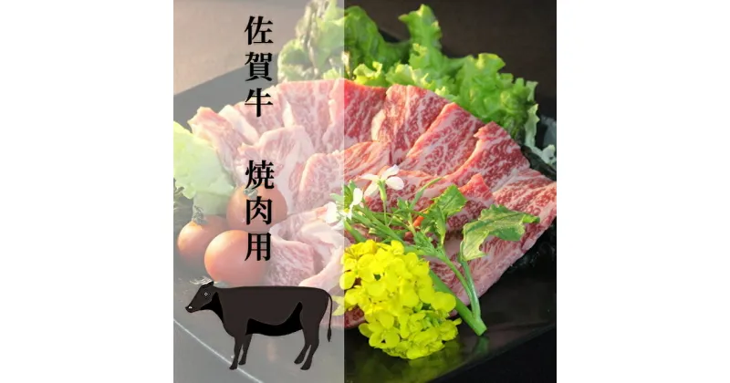 【ふるさと納税】佐賀牛 焼肉用（c-8）