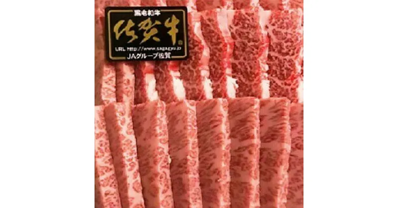 【ふるさと納税】 老舗 の A5 佐賀牛 霜降り 焼肉 セット 700g（d-17）