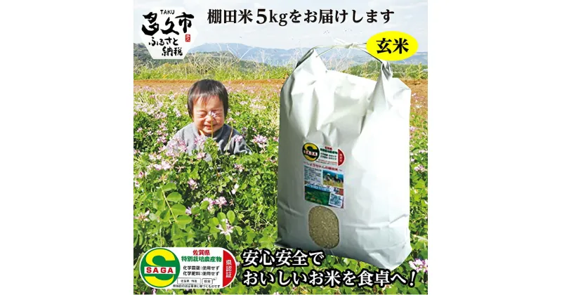 【ふるさと納税】【 令和6年産 新米 】 5kg 玄米 夢しずく 農薬・化学肥料不使用 「 しょうちゃんの 棚田米 」 5kg モチモチ食感と優しい甘み 玄米 特A 受賞 化学肥料不使用 オーガニック 棚田 米 コメ お米 おこめ 5キロ 5 b-94