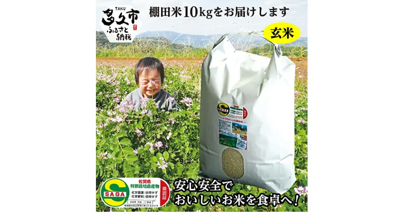 【ふるさと納税】【 令和6年産 新米 】 玄米 10kg 夢しずく 農薬・化学肥料不使用「 しょうちゃんの 棚田米 」 10kg モチモチ食感と優しい甘み 特A 受賞 化学肥料不使用 オーガニック 棚田 米 コメ お米 おこめ 10キロ 10 c-43