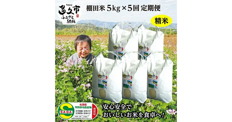 【ふるさと納税】【 令和6年産 新米 】 定期便 精米 5kg × 5回 夢しずく 米 農薬・化学肥料不使用「 しょうちゃんの 棚田米 」5kg×5回 精米 特A 受賞 化学肥料不使用 オーガニック 棚田 米 コメ お米 おこめ 5キロ 25キロ 5kg 25kg 5 25 定期便 k-2