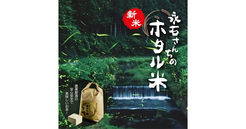 【ふるさと納税】【 令和6年産 新米 】 さがびより 10kg ( 5kg×2袋 ) | さがびより 永石さんちのホタル米 白米 お米 10kg 10キロ こめ コメ 米 ごはん z-60