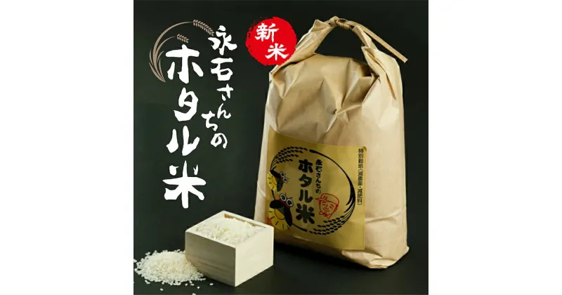 【ふるさと納税】【 令和6年産 新米 】 さがびより 定期便 10kg×4回 | さがびより 定期便 永石さんちのホタル米 白米 お米 10kg×4回 10キロ×4回 40kg 40キロ こめ コメ 米 ごはん e-29