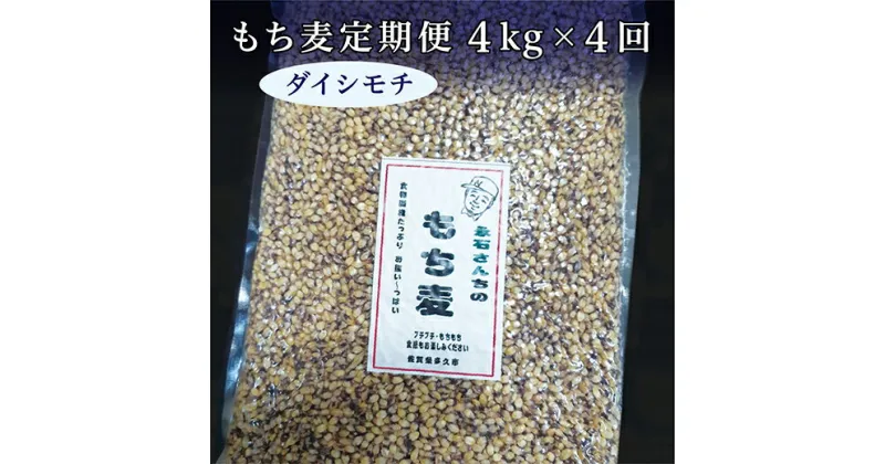 【ふるさと納税】e－30　もち麦 ダイシモチ 国産 定期便 4kg × 4回 | もち麦 ダイシモチ 国産 永石さんちのもち麦 定期便 4kg × 4回