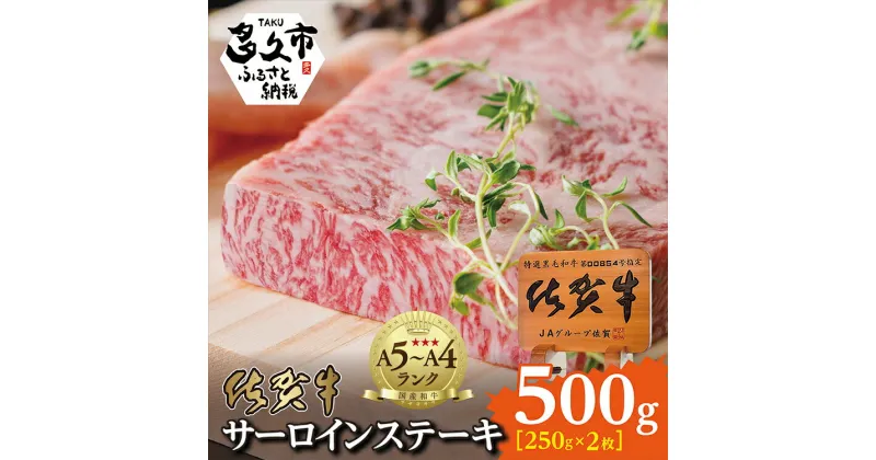 【ふるさと納税】 佐賀牛 サーロイン ステーキ （250g×2枚） 牛肉 d－72