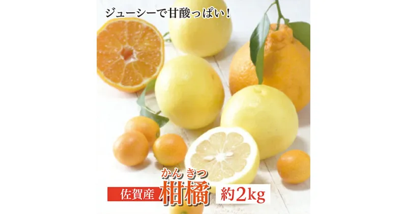 【ふるさと納税】 柑橘 詰め合わせ 佐賀 産 約 2kg 佐賀県 産 柑橘 かんきつ みかん オレンジ 約2kg 柑橘類 旬 人気 詰め合わせ b-375