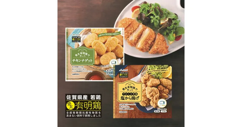 【ふるさと納税】 佐賀県産 骨太 有明鶏 バラエティセット チキンナゲット 塩 から揚げ ササミ チーズ カツ 冷凍 b-424