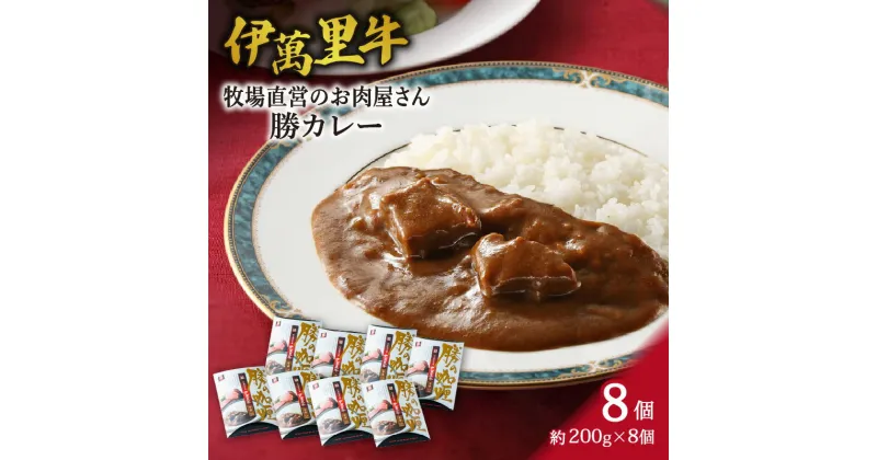 【ふるさと納税】レストラン勝オリジナル伊萬里牛 カレー【中辛】8食分 J724