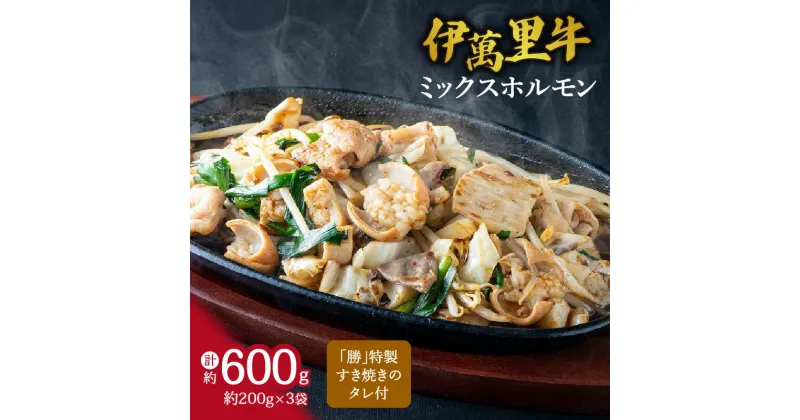 【ふるさと納税】伊万里牛ミックスホルモン 約600g ホルモンたれ付 J727