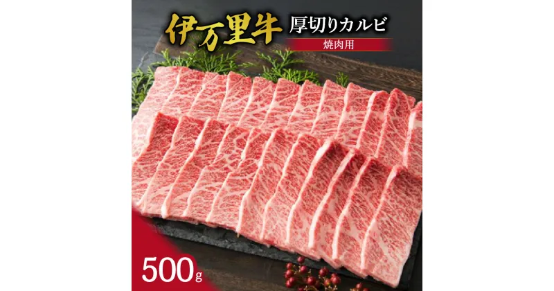 【ふるさと納税】伊万里牛 厚切り カルビ 焼肉用 500g J246