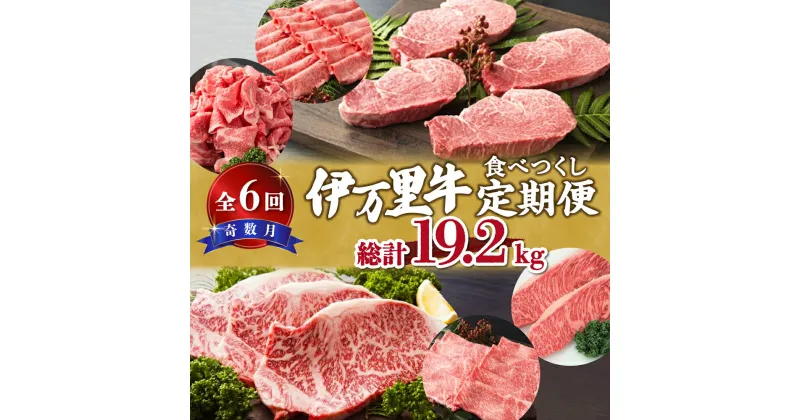 【ふるさと納税】伊万里牛食べつくし定期便（寄附額100万円コース） J254