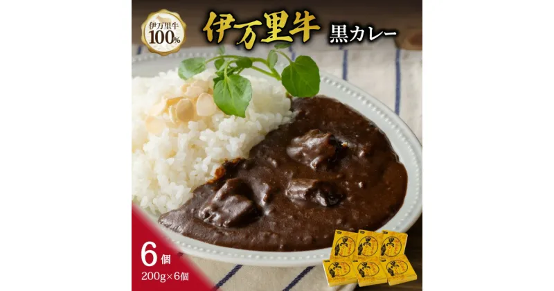 【ふるさと納税】伊万里牛黒カレー 6食分 (200g×6箱） J710