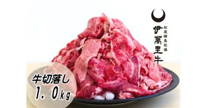 【ふるさと納税】伊万里牛切り落とし 1kg （500g×2） 小分け J715