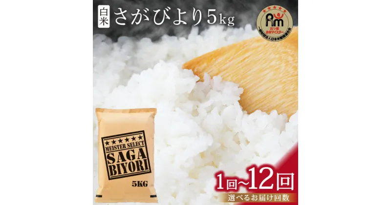 【ふるさと納税】《マイスターセレクト》さがびより【白米】5kg ＜回数が選べる／1回・3回・6回・12回 ＞【 米 白米 精米 さがびより 特A 定期便 5kg 15kg 30kg 60kg 】