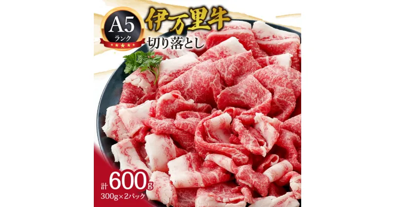 【ふるさと納税】A5 A4厳選 伊万里牛切り落とし 600g 小分け 焼肉 牛丼 炒め物に J940