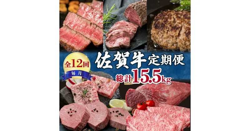 【ふるさと納税】【全12回】毎月お届け佐賀牛定期便 総計15.5kg J475