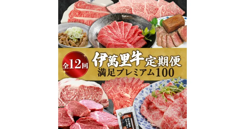 【ふるさと納税】伊万里牛満足プレミアム100 定期便【12回コース】 ヒレ ステーキ J524