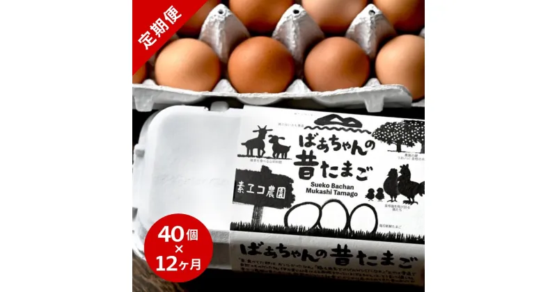 【ふるさと納税】【12回定期便】平飼いで のびのび！ばあちゃんの昔たまご 40個/月 割れ保証あり B612