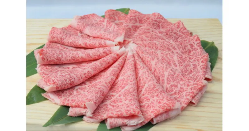 【ふるさと納税】佐賀牛ローススライス しゃぶしゃぶ用 500g （500g×1パック） J674