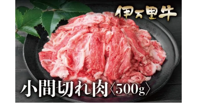 【ふるさと納税】伊万里牛 A5 小間切れ 500g J622