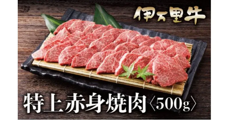 【ふるさと納税】伊万里牛 A5 赤身 焼肉用 500g J627