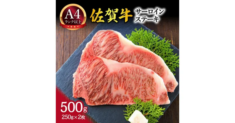 【ふるさと納税】【 佐賀牛 】 艶さし！ サーロイン ステーキ セット　500g（250g×2枚） J1054