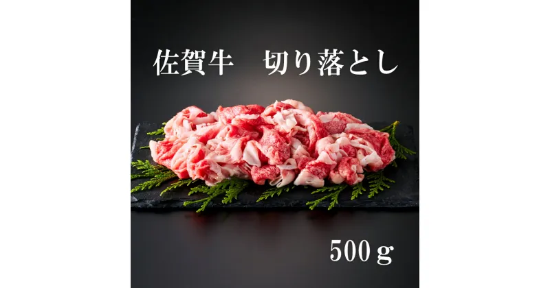 【ふるさと納税】佐賀牛 切り落とし 500g J879