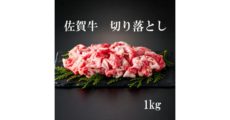 【ふるさと納税】佐賀牛 切り落とし 1kg（ 500g × 2パック） J880