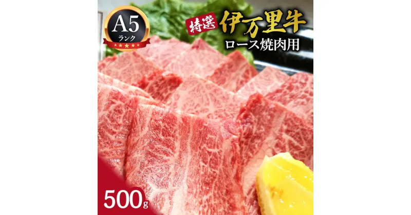 【ふるさと納税】特選伊万里牛（A5）ロース焼肉用 500g J1100