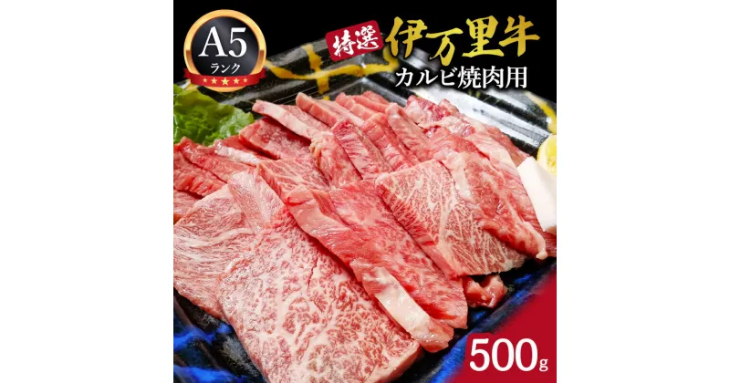 【ふるさと納税】特選伊万里牛（A5）カルビ焼肉用 500g J1101